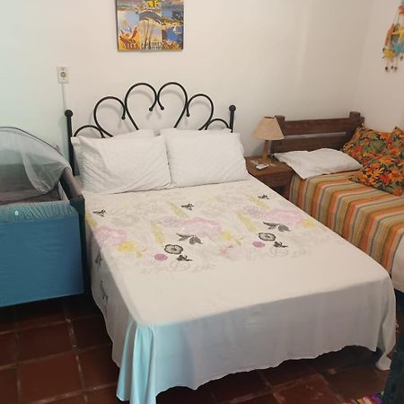 Casa No Morro - Charme Em Meio A Natureza Pertinho Da Praia 3 Dormitorios Sao Sebastiao  Kültér fotó