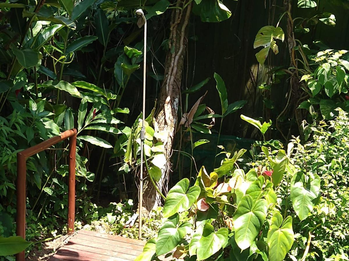 Casa No Morro - Charme Em Meio A Natureza Pertinho Da Praia 3 Dormitorios Sao Sebastiao  Kültér fotó